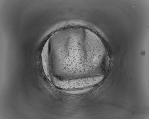 X0000091901496200710031812