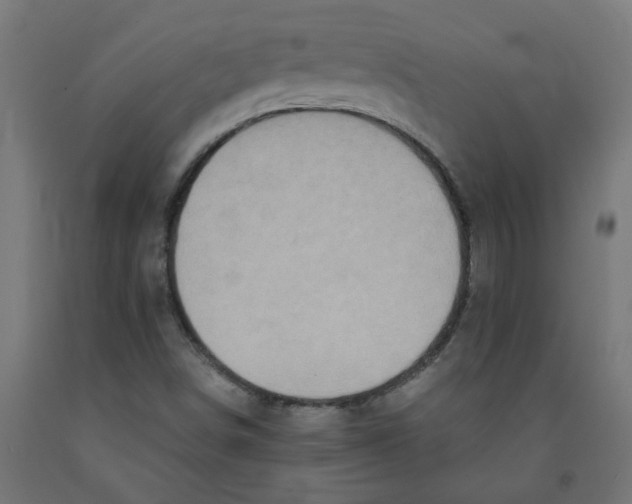 X0000091901498200710031812