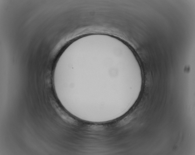 X0000091901499200710031812