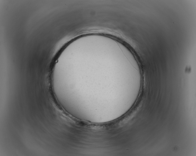 X0000091901501200710031812