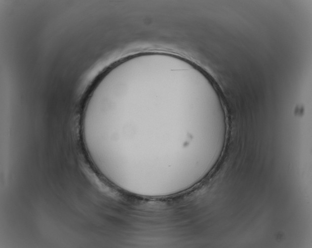 X0000091901503200710031812