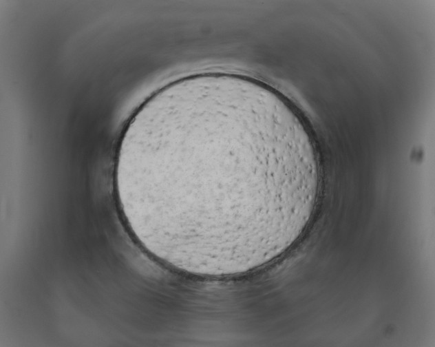 X0000091901504200710031812