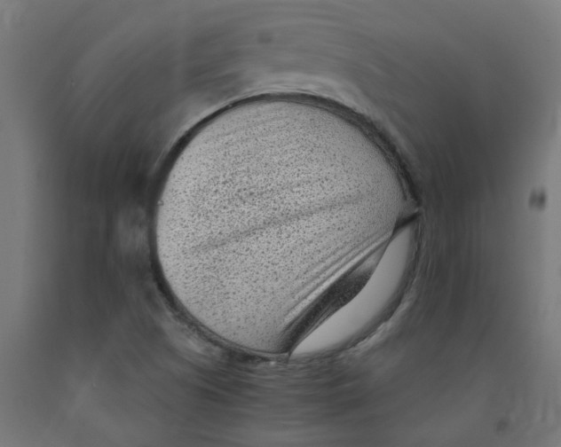 X0000091901505200710031812