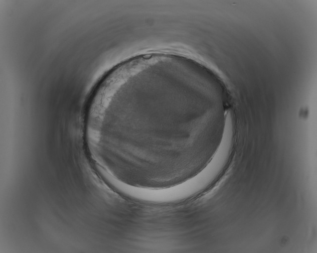 X0000091901506200710031812