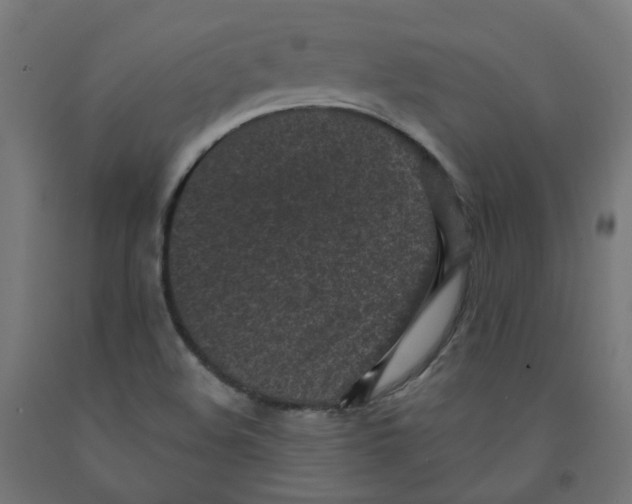 X0000091901508200710031812