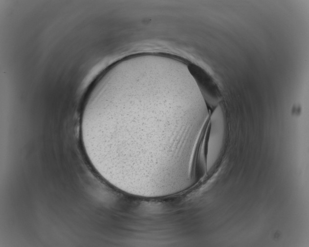 X0000091901509200710031812