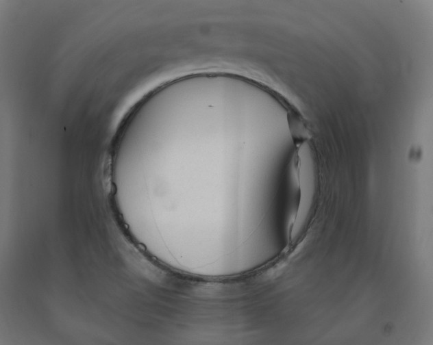 X0000091901510200710031812