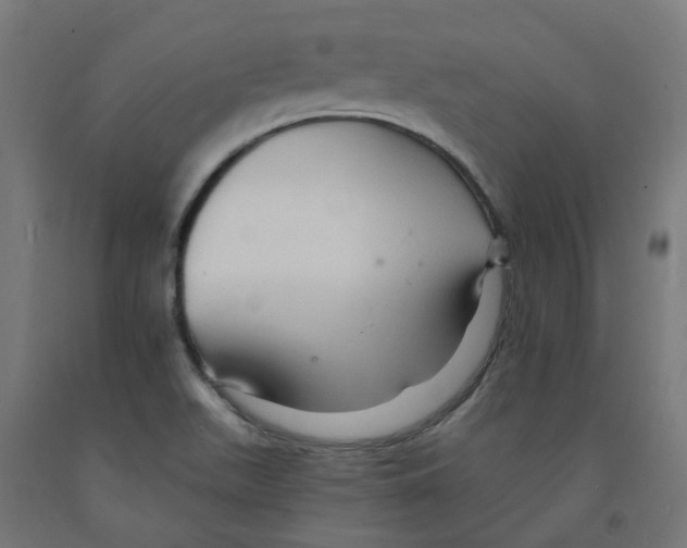 X0000091901511200710031812