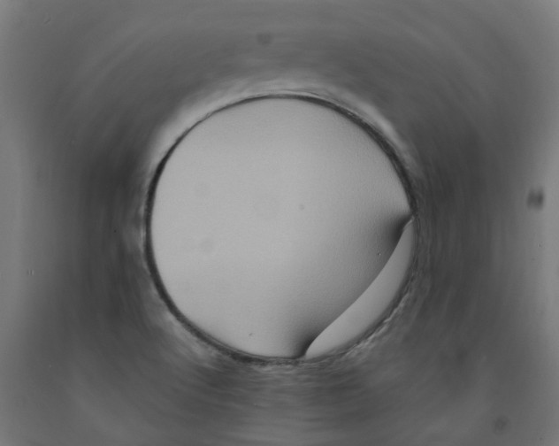 X0000091901512200710031812