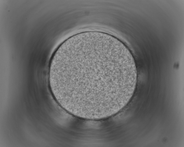 X0000091901514200710031812