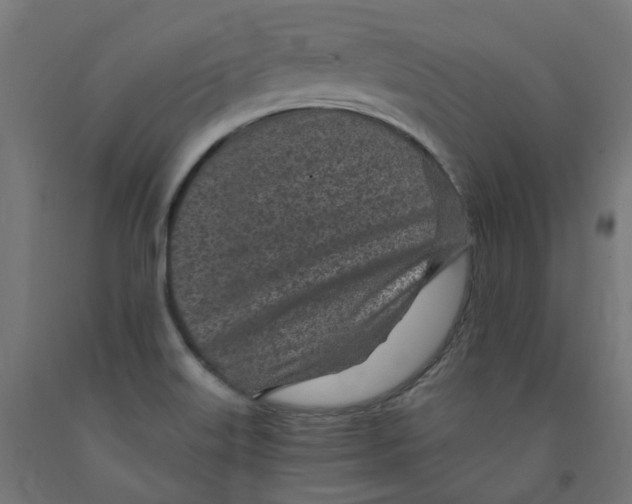 X0000091901515200710031812