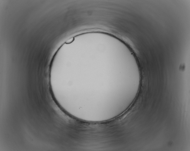 X0000091901516200710031812