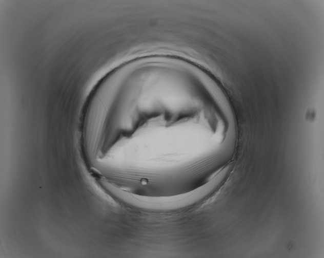 X0000091901518200710031812