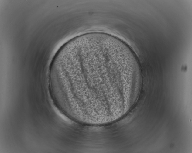 X0000091901519200710031812