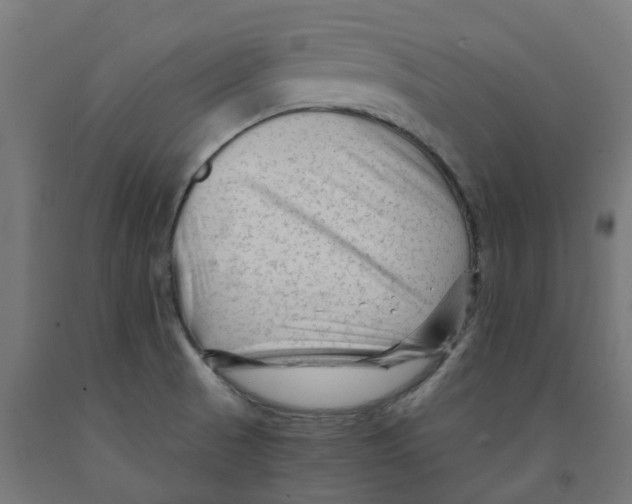 X0000091901521200710031812