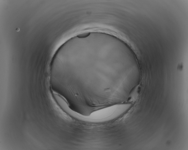 X0000091901522200710031812