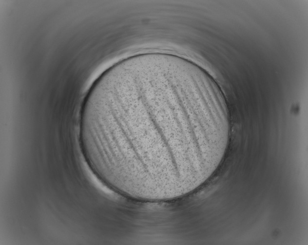 X0000091901523200710031812