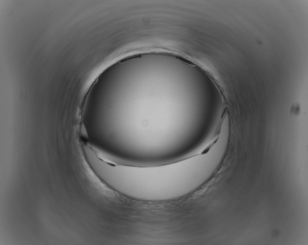 X0000091901524200710031812