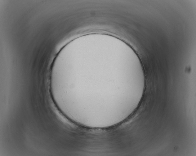 X0000091901526200710031812