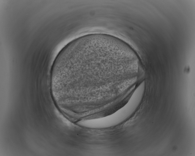 X0000091901527200710031812