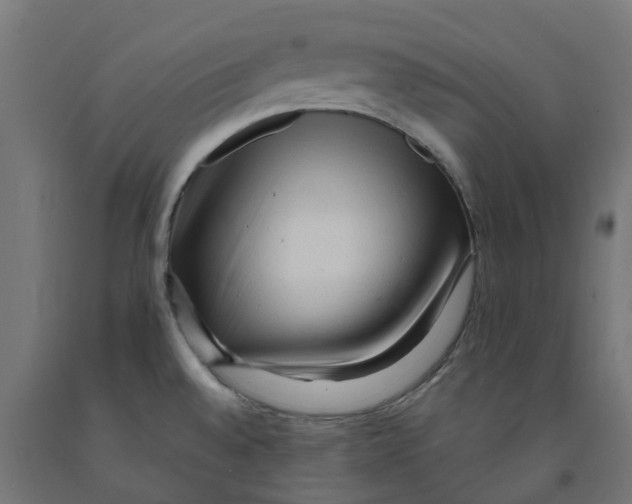 X0000091901528200710031812