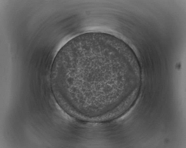 X0000091901529200710031812