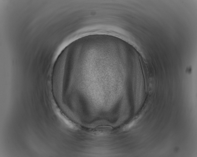 X0000091901530200710031812