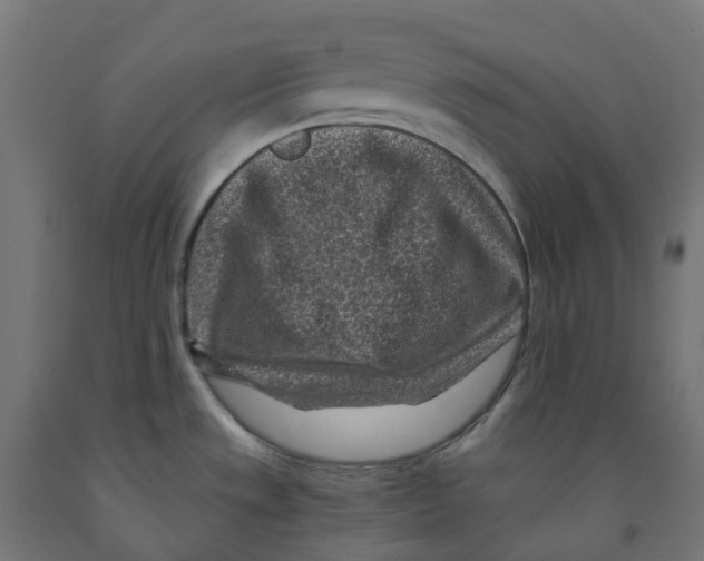 X0000091901533200710031812