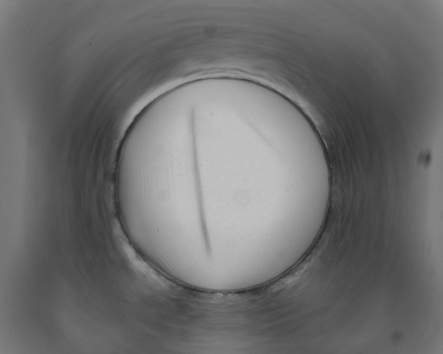 X0000091901534200710031812