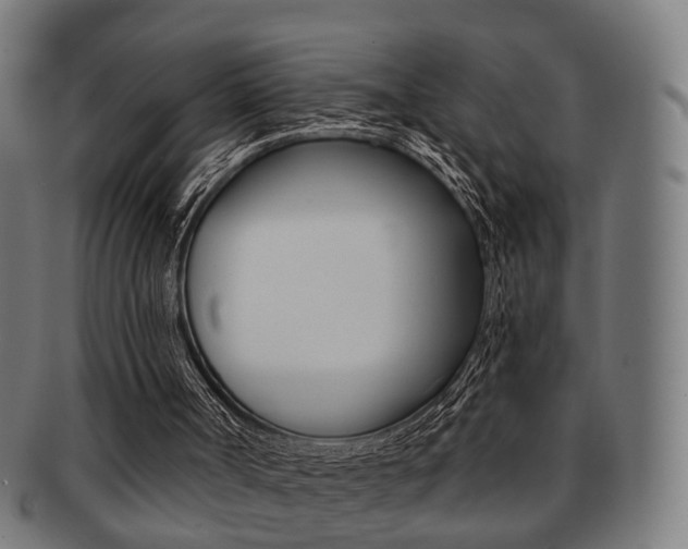X0000091910002200709051220