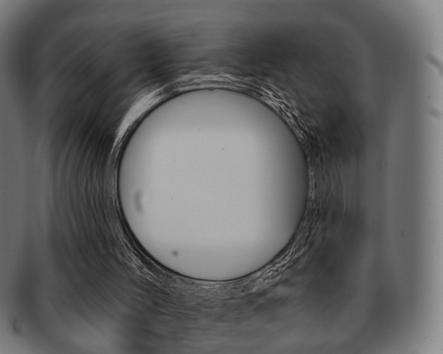 X0000091910004200709051220