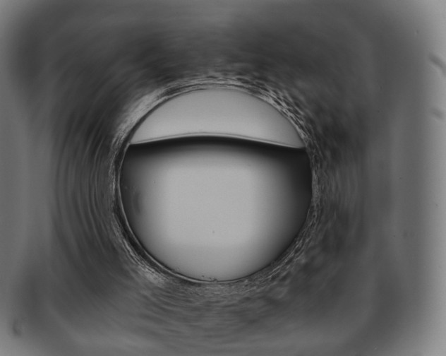 X0000091910005200709051220