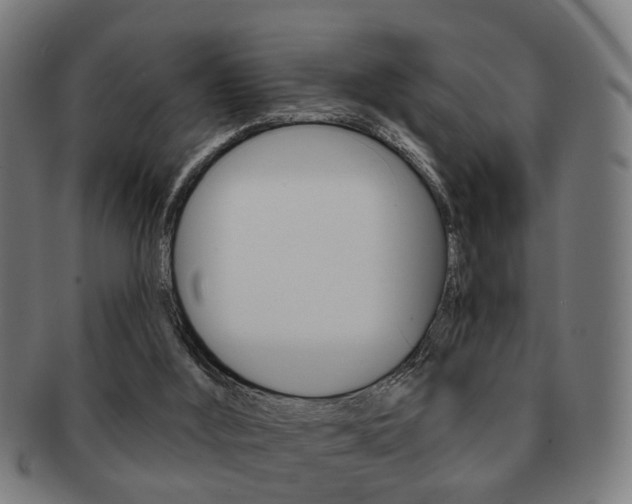 X0000091910012200709051220
