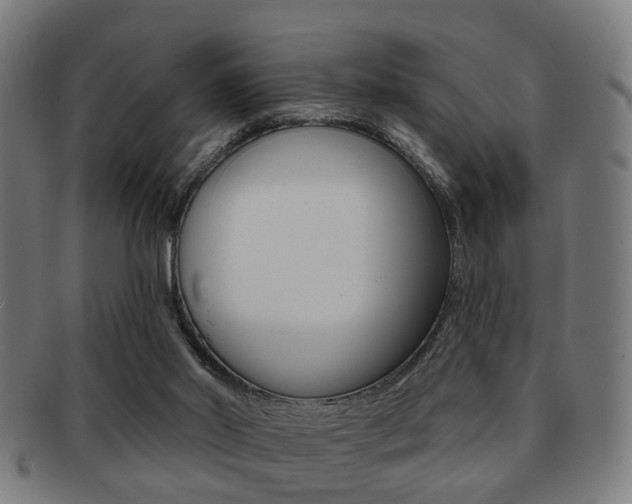 X0000091910014200709051220