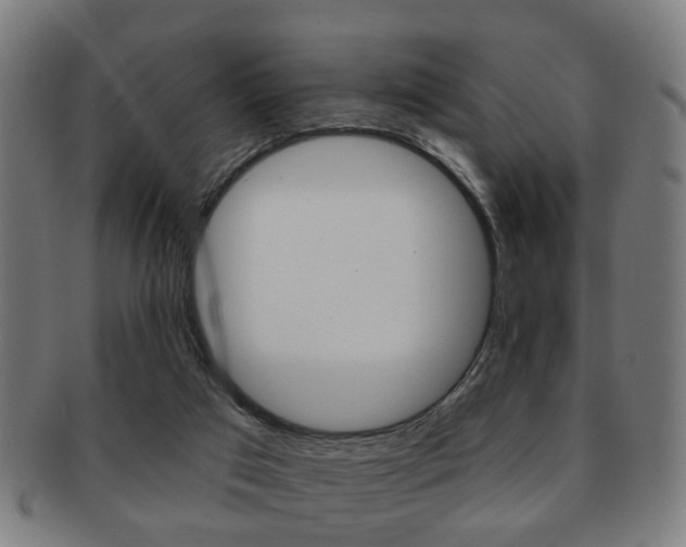 X0000091910017200709051220