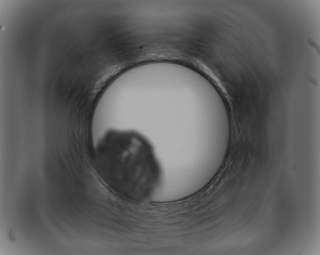 X0000091910019200709051220