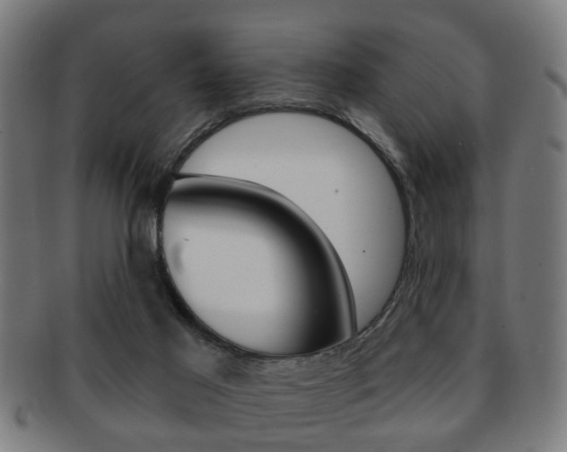 X0000091910021200709051220