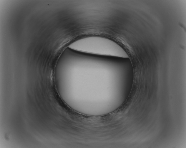X0000091910024200709051220