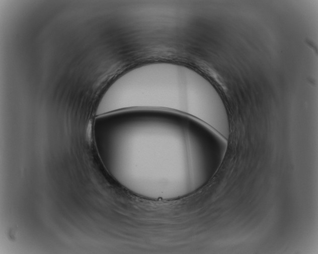 X0000091910027200709051220