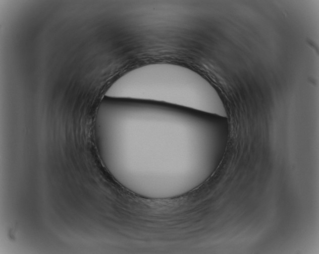 X0000091910030200709051220