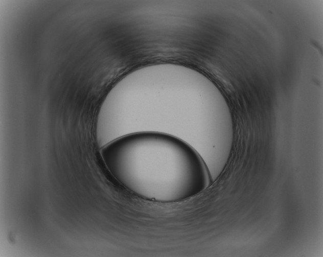 X0000091910031200709051220