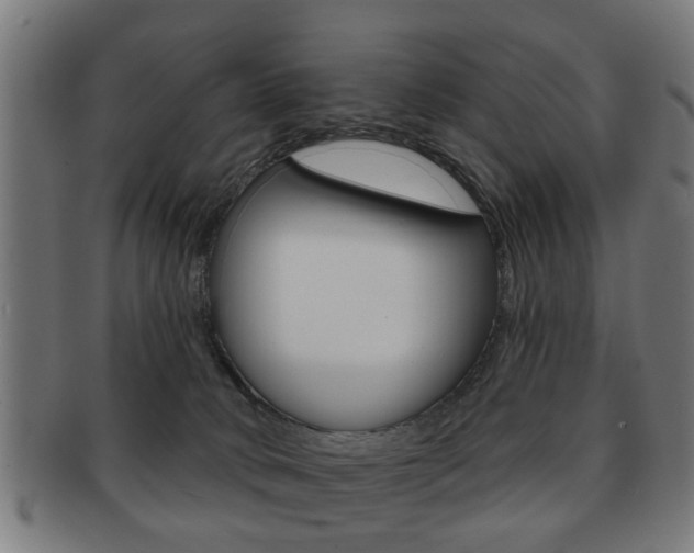 X0000091910034200709051220