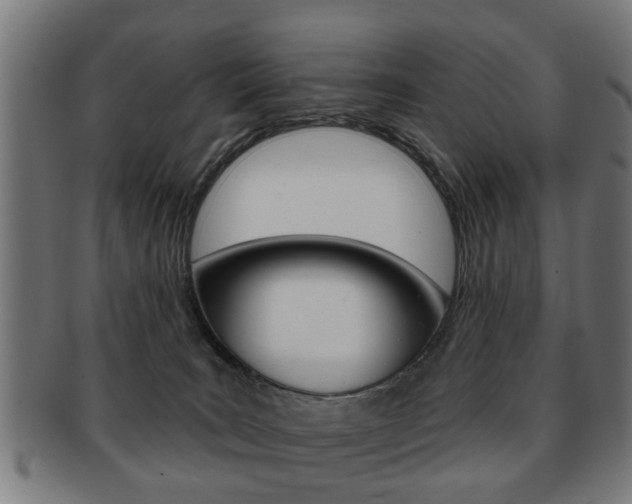 X0000091910035200709051220
