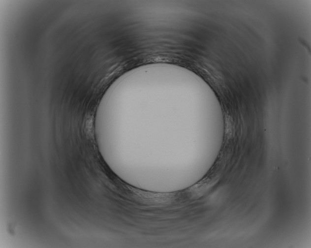 X0000091910036200709051220