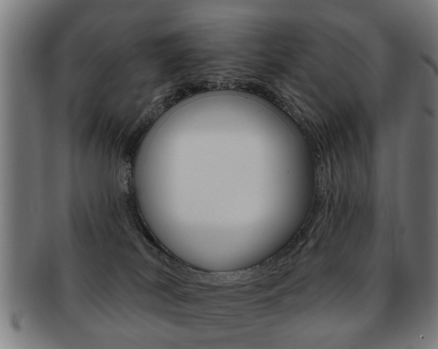 X0000091910038200709051220