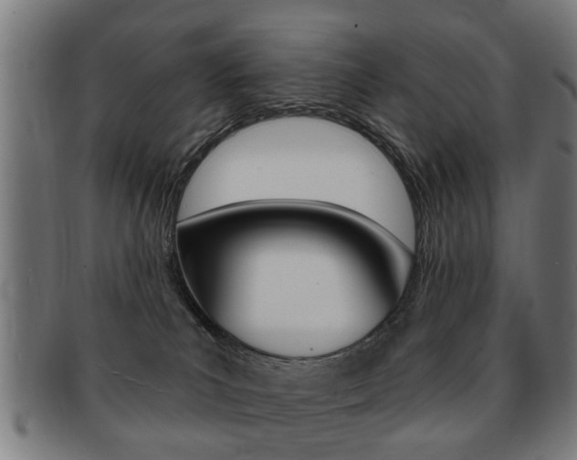 X0000091910039200709051220