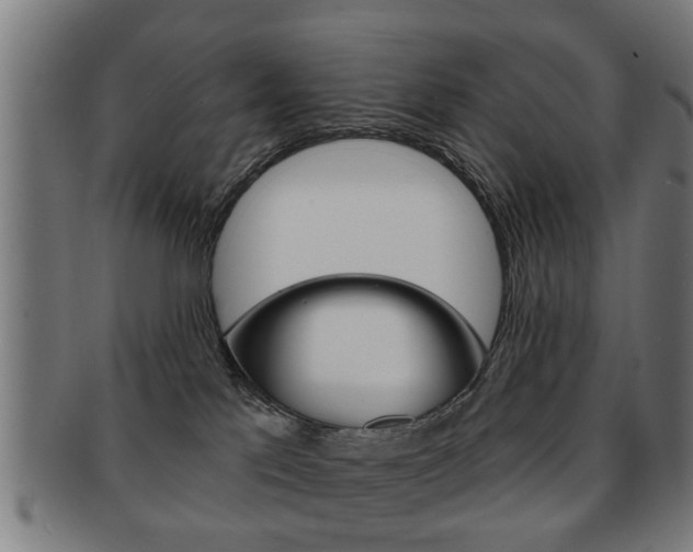 X0000091910041200709051220
