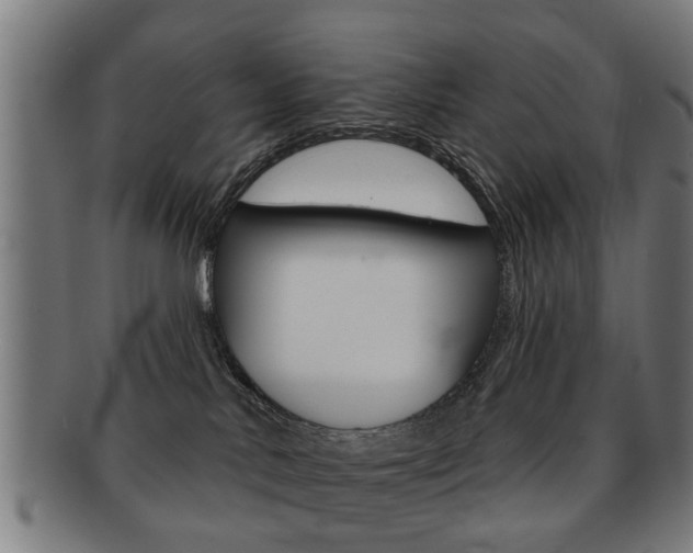 X0000091910042200709051220