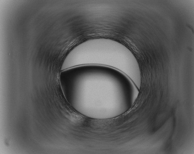 X0000091910045200709051220