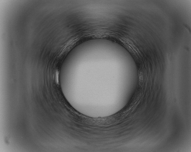 X0000091910046200709051220